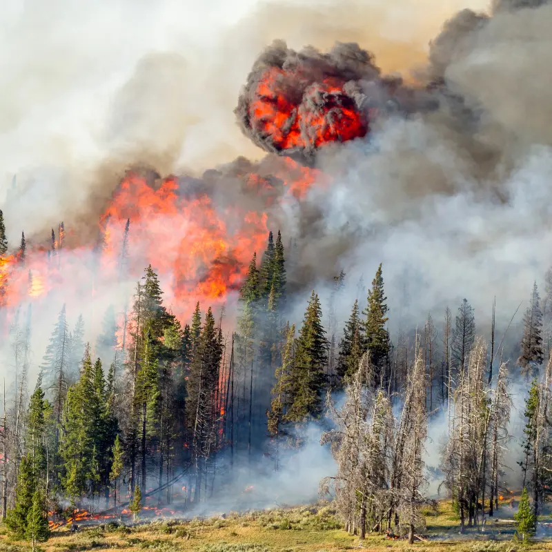 Fire Support